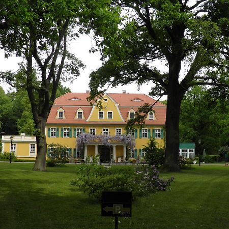 Fledermausschloss Lohsa Buitenkant foto